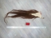 Tanned Horse Tail: Gallery Item - 18-06T-G3892 (Y1HRM)