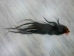 Tanned Horse Tail: Gallery Item - 18-06T-G3893 (Y1HRM)