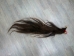 Tanned Horse Tail: Gallery Item - 18-06T-G3894 (Y1HRM)
