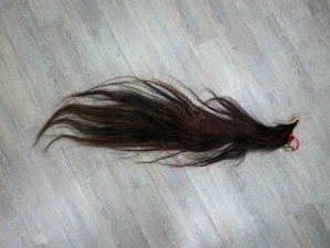 Tanned Horse Tail: Gallery Item 