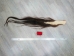 Tanned Horse Tail: Gallery Item - 18-06T-G3896 (Y1HRM)