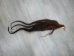 Tanned Horse Tail: Gallery Item - 18-06T-G3896 (Y1HRM)