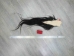 Tanned Horse Tail: Gallery Item - 18-06T-G3905 (Y1HRM)