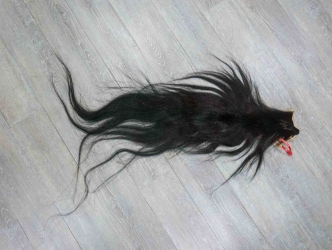 Tanned Horse Tail: Gallery Item 
