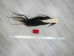 Tanned Horse Tail: Gallery Item - 18-06T-G3911 (Y1HRM)