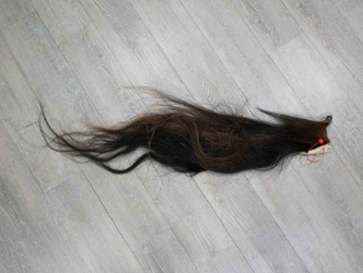 Tanned Horse Tail: Gallery Item 