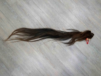 Tanned Horse Tail: Gallery Item 