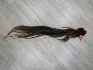 Tanned Horse Tail: Gallery Item 
