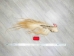 Tanned Horse Tail: Gallery Item - 18-06T-G3916 (Y1HRM)