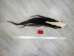 Tanned Horse Tail: Gallery Item - 18-06T-G3917 (Y1HRM)