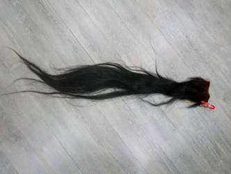 Tanned Horse Tail: Gallery Item 