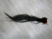 Tanned Horse Tail: Gallery Item - 18-06T-G3920 (Y1HRM)