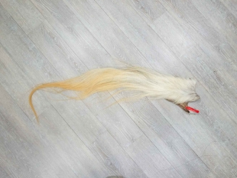 Tanned Horse Tail: Gallery Item 