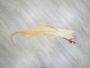 Tanned Horse Tail: Gallery Item 