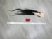 Tanned Horse Tail: Gallery Item - 18-06T-G3925 (Y1HRM)