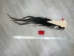 Tanned Horse Tail: Gallery Item - 18-06T-G3932 (Y1HRM)