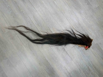 Tanned Horse Tail: Gallery Item 