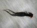 Tanned Horse Tail: Gallery Item - 18-06T-G3932 (Y1HRM)