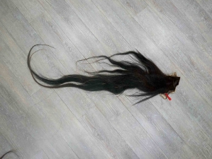 Tanned Horse Tail: Gallery Item 