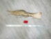 Tanned Horse Tail: Gallery Item - 18-06T-G3935 (Y1HRM)