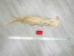 Tanned Horse Tail: Gallery Item - 18-06T-G3936 (Y1HRM)