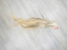 Tanned Horse Tail: Gallery Item - 18-06T-G3936 (Y1HRM)