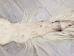 Tanned Horse Tail: Gallery Item - 18-06T-G4320 (Y1HRJ)