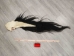 Tanned Horse Tail: Gallery Item - 18-06T-G4326 (Y1HRJ)
