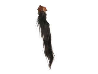 Tanned Horse Tail: Gallery Item 