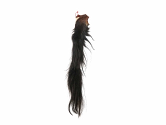 Tanned Horse Tail: Gallery Item 