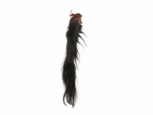 Tanned Horse Tail: Gallery Item 