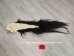 Tanned Horse Tail: Gallery Item - 18-06T-G4329 (Y1HRJ)