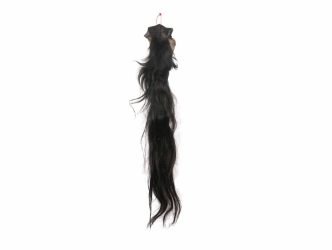 Tanned Horse Tail: Gallery Item 