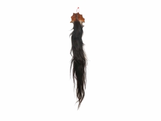 Tanned Horse Tail: Gallery Item 