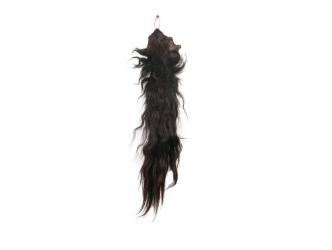 Tanned Horse Tail: Gallery Item 