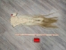 Tanned Horse Tail: Gallery Item - 18-06T-G4334 (Y1HRJ)