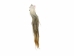 Tanned Horse Tail: Gallery Item - 18-06T-G4336 (Y1HRJ)