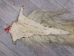 Tanned Horse Tail: Gallery Item - 18-06T-G4339 (Y1HRJ)
