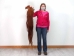 Tanned Horse Tail: Gallery Item - 18-06T-G4341 (Y1HRJ)