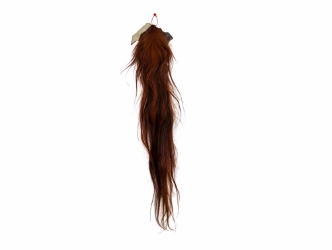 Tanned Horse Tail: Gallery Item 