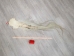 Tanned Horse Tail: Gallery Item - 18-06T-G4343 (Y1HRJ)
