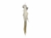 Tanned Horse Tail: Gallery Item - 18-06T-G4343 (Y1HRJ)