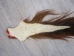 Tanned Horse Tail: Gallery Item - 18-06T-G4346 (Y1HRJ)