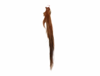 Tanned Horse Tail: Gallery Item 