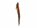 Tanned Horse Tail: Gallery Item - 18-06T-G4346 (Y1HRJ)