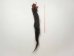 Tanned Horse Tail: Gallery Item - 18-06T-G4347 (Y1HRJ)