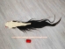 Tanned Horse Tail: Gallery Item - 18-06T-G4347 (Y1HRJ)