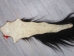 Tanned Horse Tail: Gallery Item - 18-06T-G4347 (Y1HRJ)