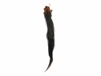 Tanned Horse Tail: Gallery Item 