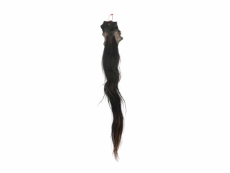 Tanned Horse Tail: Gallery Item 